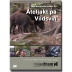 Åteljakt på Vildsvin