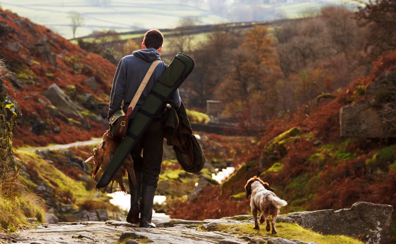 Swarovski z6i 1-6x24 2