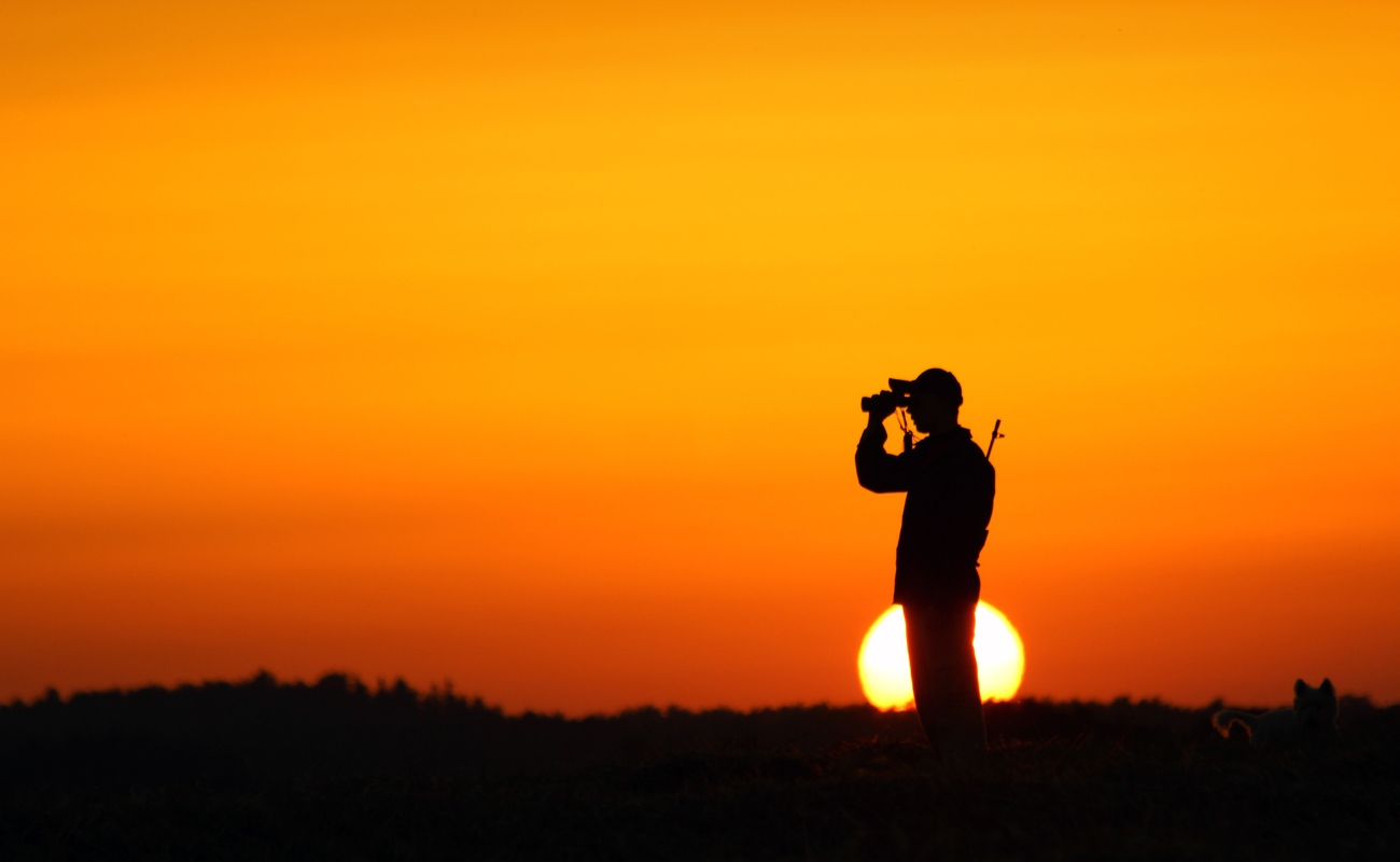 Thermacell refill 10-pack 120h 1