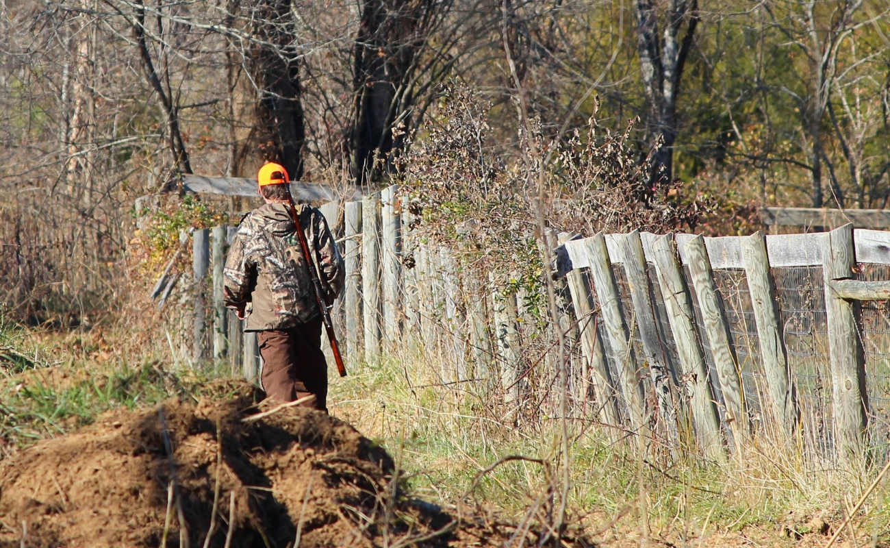 Ljuddämpare stalon victor l